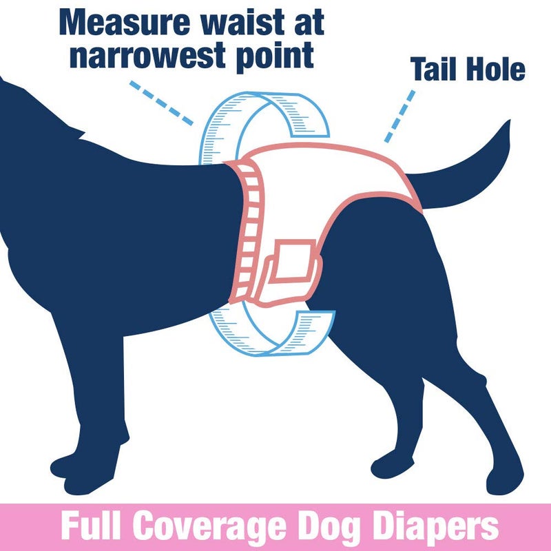 Four Paws Wee-Wee Male Dog Wraps, Disposable, X-Small/Small 12 Count, 4 Pack - Image 4
